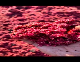 galeri-resim