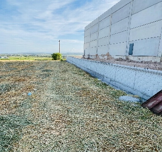 galeri