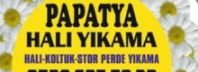 baslik