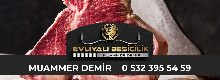 baslik
