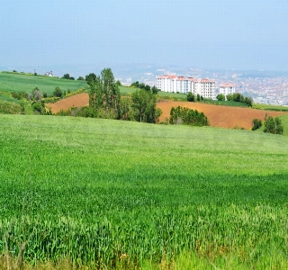 galeri