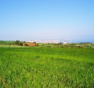 galeri