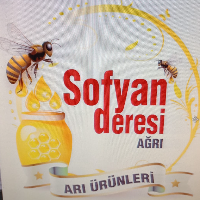 tanitim resim