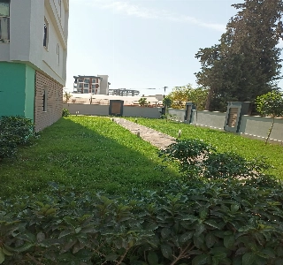 galeri