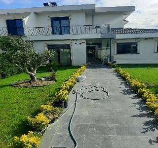 galeri