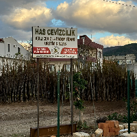 tanitim resim