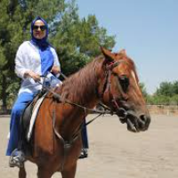 tanitim resim