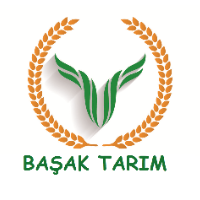 tanitim resim